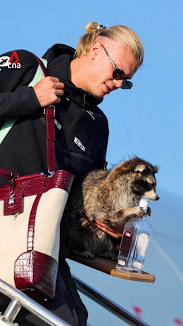 No World Cup trophy, but Haaland returns to Norway with stuffed 'whiskey raccoon'