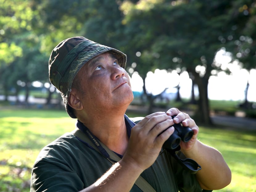 Hidden sentinels who guard Singapore’s biodiversity