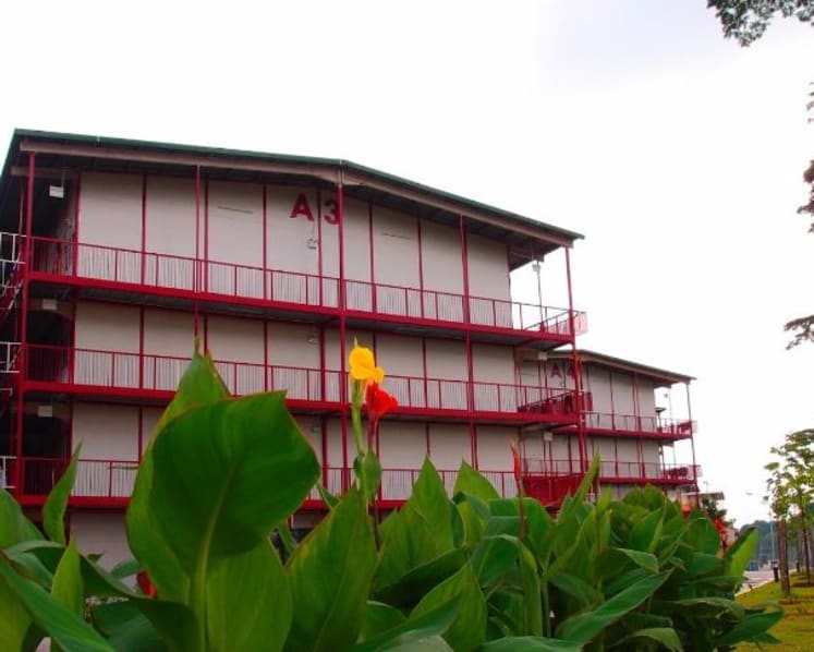 Covid-19: 66 more cases, all but one locally transmitted; another new cluster at workers’ dorm