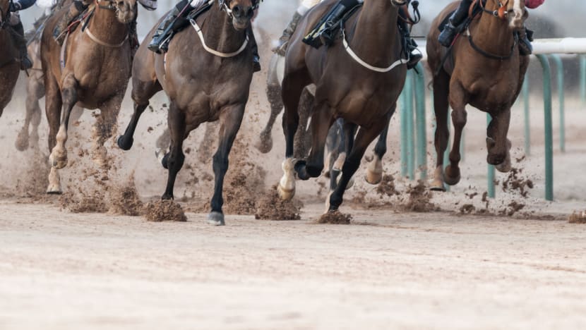 Man on remission for drug offence gets caught taking bets for Hong Kong horse race, goes back to jail