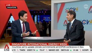 Countries at risk of missing 2030 renewable energy target: IRENA
