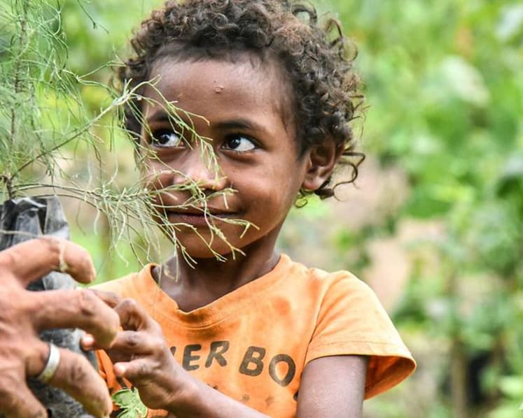 Turning sunlight into water: New technology and old knowledge to stop Timor-Leste from running dry