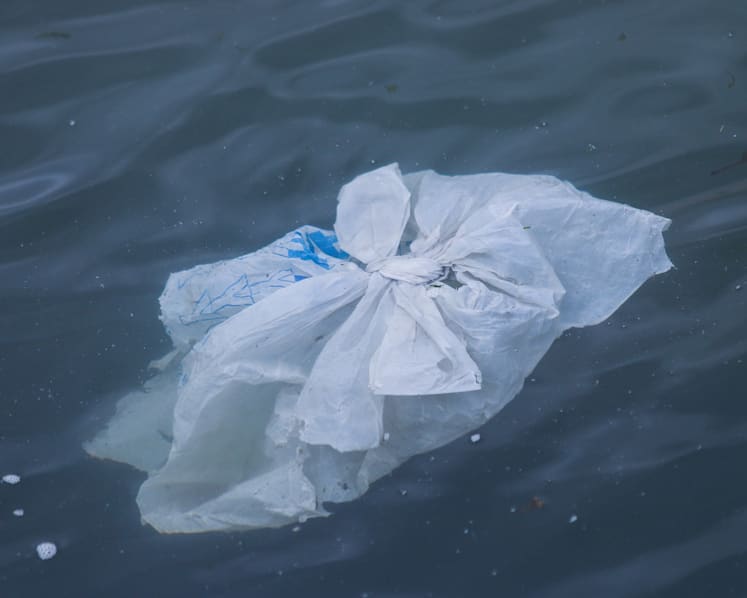Too much plastic waste? Try locking it in safe sinks with biodegradable materials