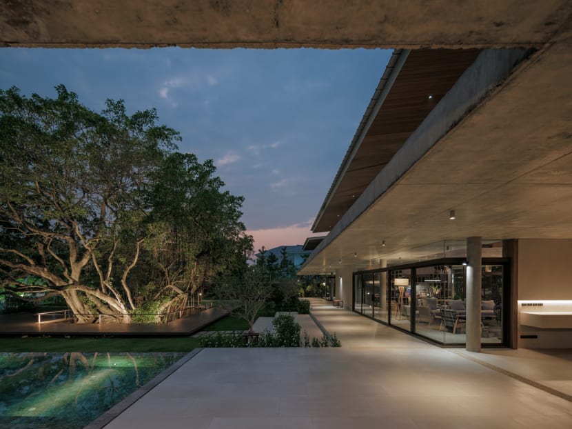 This house in Bangkok is designed around two majestic banyan trees This house in Bangkok is designed around two majestic banyan trees