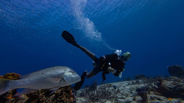 As the UN's High Seas Treaty takes effect, what does it mean for Southeast Asia?