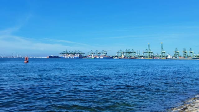 他梦见狮子——《老人与海》读后感