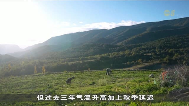 持续干旱和高温 打乱动植物生长节奏和冬眠周期