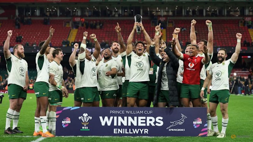Mighty Springboks continue to set the standards