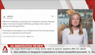 Trump says US will pause migration from 'Third World countries' after Washington DC attack