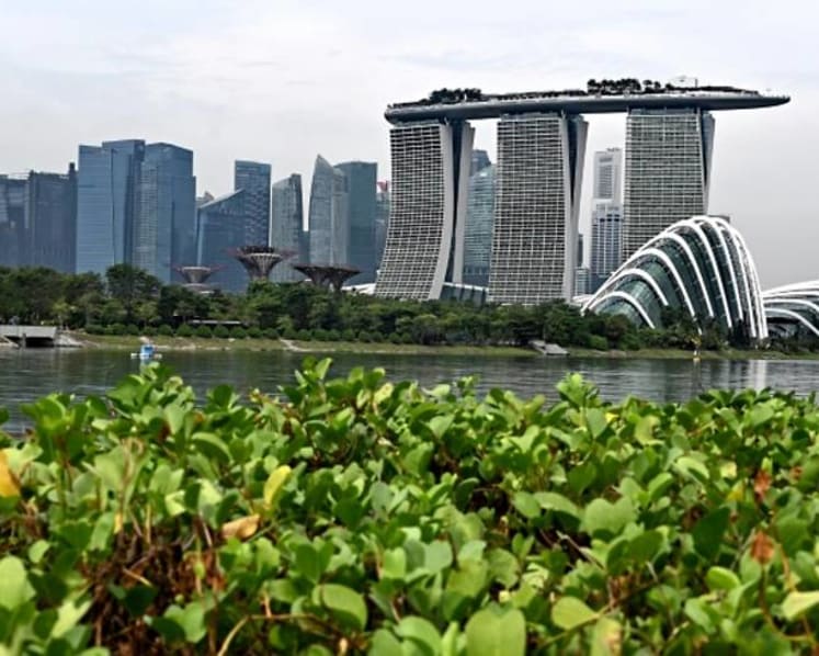Commentary: The merits of Singapore’s new carbon trading marketplace