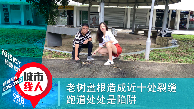 老树盘根造成近十处裂缝 跑道处处是陷阱