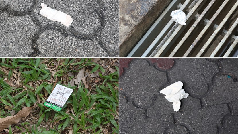 To nab high-rise litterbug, police took 10 days but NEA needs 10 weeks or more. Here's why