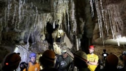 Related article image
