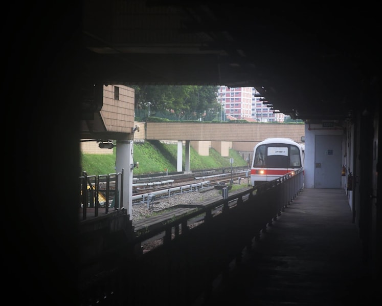 Teething issues related to NSL’s new signalling system similar to those faced by overseas metros