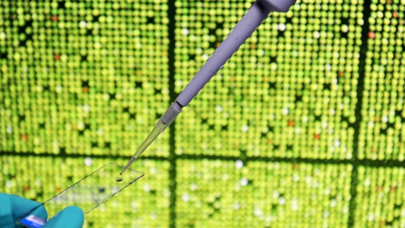 IVF mix-up: Awarding damages ‘would not belittle child’s value’