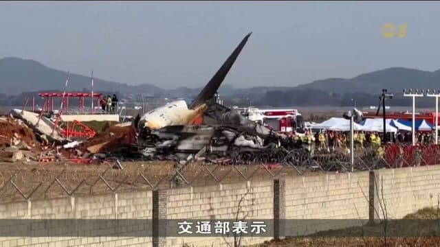 济州航空空难初步报告将发布 鸟撞成调查重点
