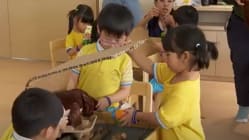 Related article image