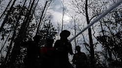 Related article image