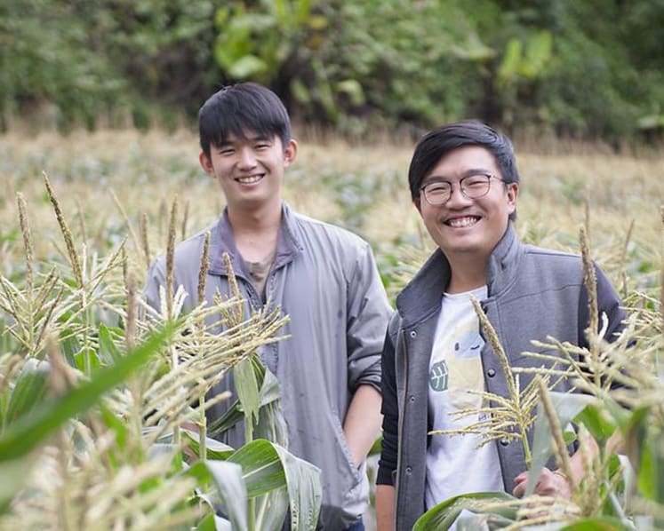 The Cameron Highlands farmers supplying ethical, organic produce to Singapore