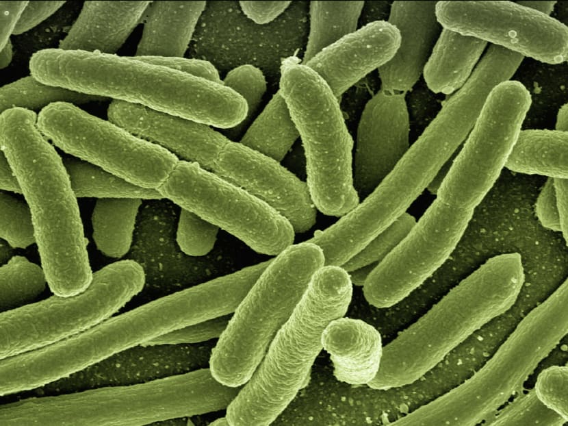 Antimicrobial resistance is the phenomenon where bacteria, viruses, fungi and parasites change over time and no longer respond to medicines, making infections harder to treat and increasing the risk of disease spread, severe illness and death. Antimicrobial resistance is the phenomenon where bacteria, viruses, fungi and parasites change over time and no longer respond to medicines, making infections harder to treat and increasing the risk of disease spread, severe illness and death.