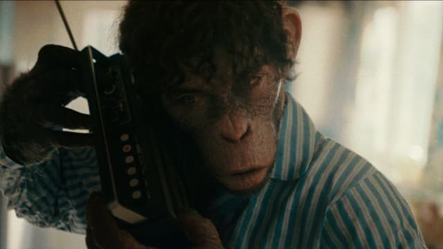 新片上映：Better Man