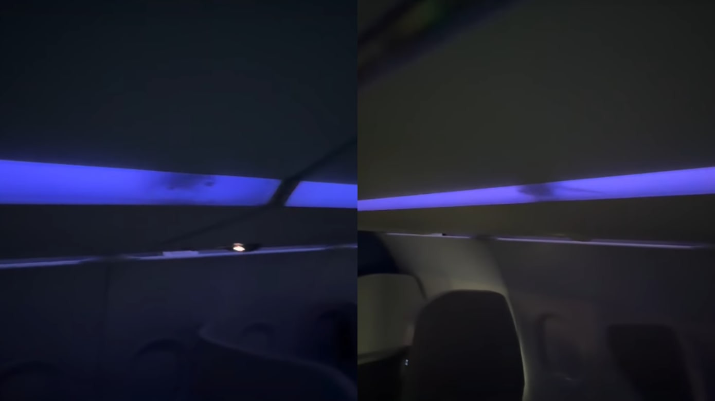 老鼠在机舱顶部灯槽里乱窜 捷蓝航空致歉调查