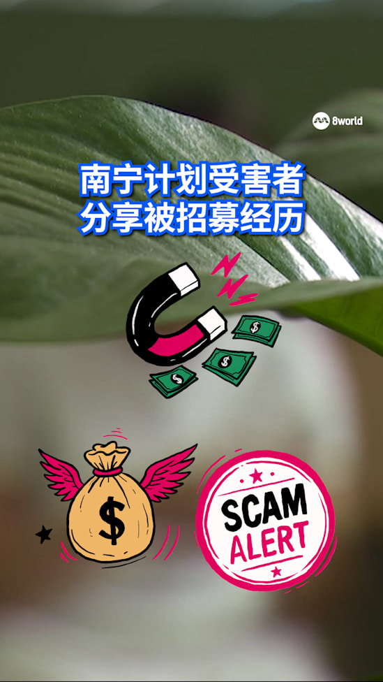 20260905 sg nanning pyramid scheme