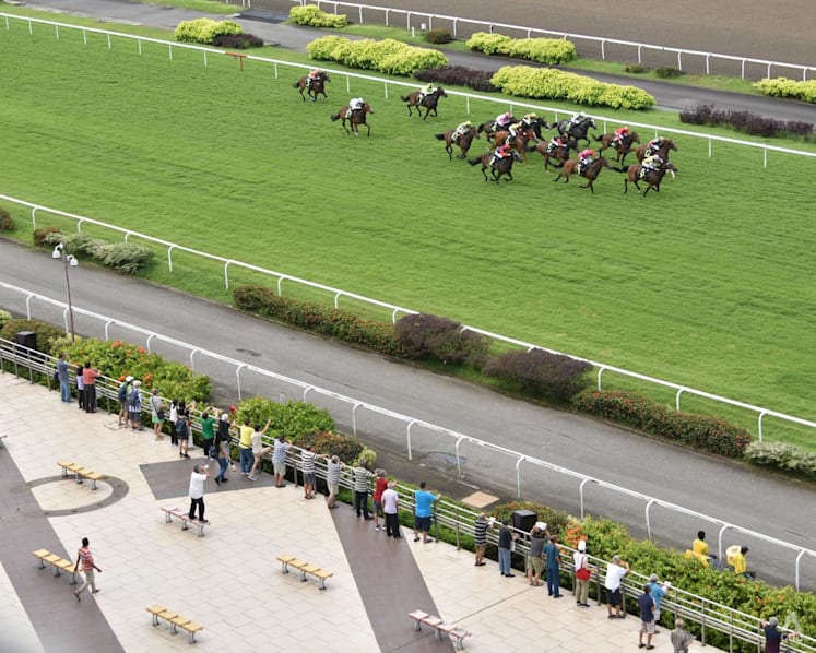 Racehorse owners, industry to appeal against Singapore Turf Club closure