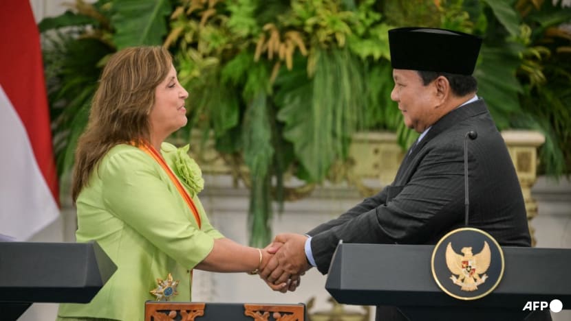 Indonesia, Peru strike trade agreement as leaders meet