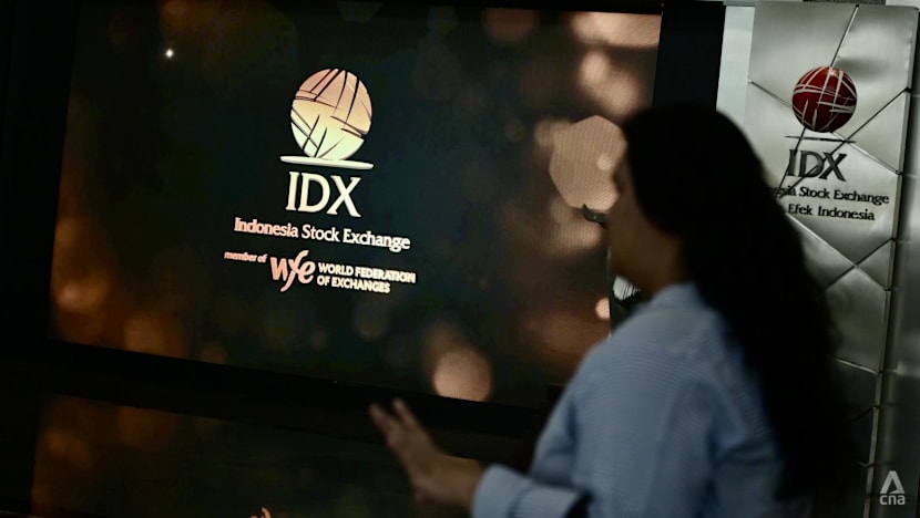 Indonesia’s US$80 billion stock market rout: What hopes, fears do retail investors and experts have?