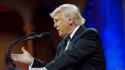 Related article image