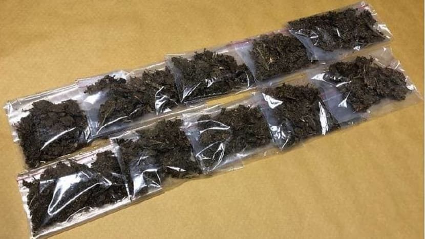 5 Singaporeans arrested, drugs worth close to S$15,000 seized in CNB operation