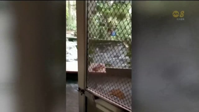 菲律宾地震死亡人数增至七人 搜救人员寻找两名失踪者