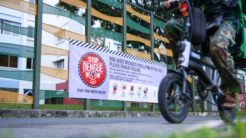 More than 6,000 dengue cases reported in 2022 so far, exceeding total cases in 2021