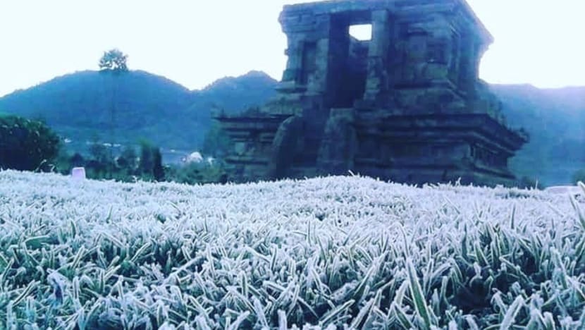 Suhu minus 1,77 derajat Celsius, embun es menyerupai salju selimuti Dieng Suhu minus 1,77 derajat Celsius, embun es menyerupai salju selimuti Dieng