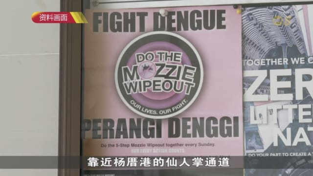本地骨痛热症病例三周来首度回落 累计达2496起