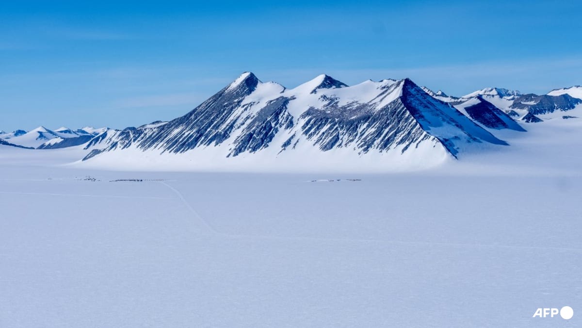 Antarctica sees similar climate change effects as Greenland: Study