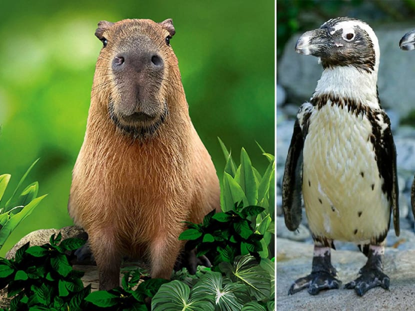 The priciest experience is $250.