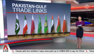  Pakistan pursuing closer trade relations with Gulf member states