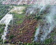 Johor conducting water bombing for partially controlled Pengerang peatland fire