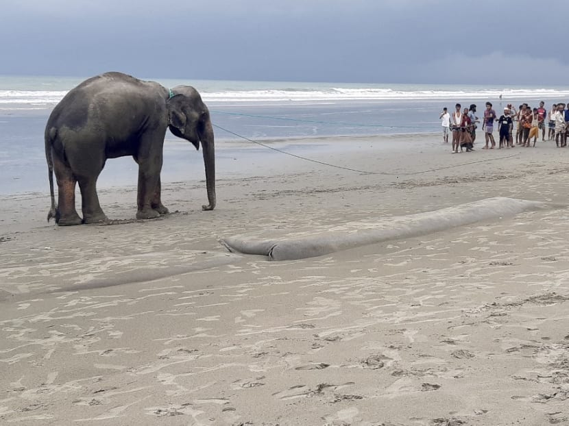 In this photograph taken on June 29, 2021 villagers gather at a beach to lead a wild Asian elephant, believed to have entered Bangladesh from Myanmar by wading a river, near Bangladesh's southern coastal town of Teknaf.