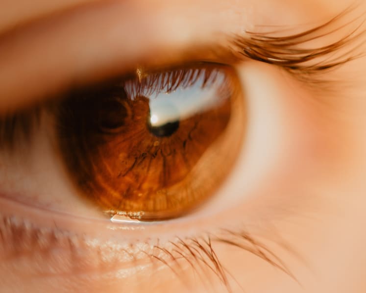 Scientists restore partial sight in blind man