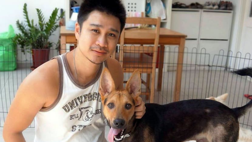 Aesthetics doctor gives up five-figure salary to save dogs