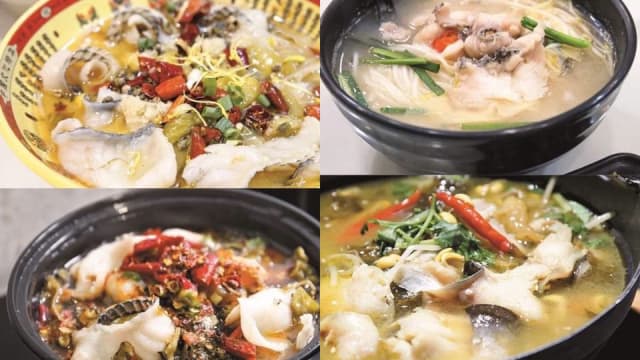 香港美食攻略　超实惠酸菜鱼Battle!