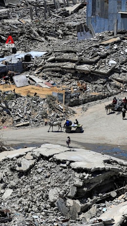 UN inquiry finds Israel targeted Gaza children, resulting in genocide