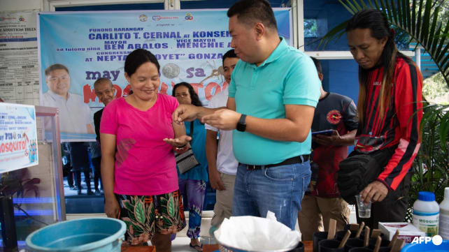 Manila neighbourhood puts bounty on dengue-carrying mosquitoes