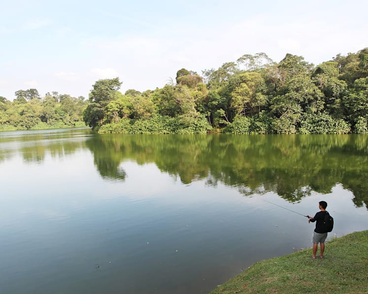 Govt agencies may post environmental impact studies online in future