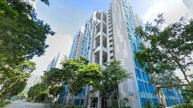 比达达利四房式组屋132万易手 转售价写大巴窑新高