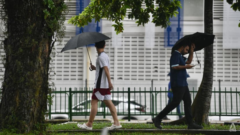 Afternoon thundery showers expected for rest of March as monsoon conditions persist: Met Service Afternoon thundery showers expected for rest of March as monsoon conditions persist: Met Service