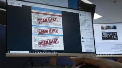 Related article image